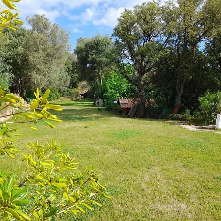 팜스테이 L'ulivo *