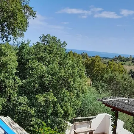 L'ulivo 팜스테이