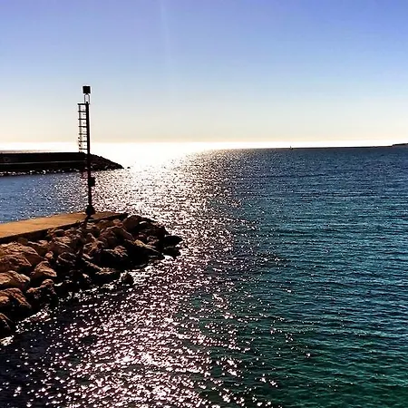 L'ulivo * シニスコーラ