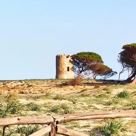 L'ulivo ファームステイ シニスコーラ